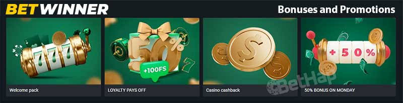 Discover the Thrills of BetWinner Online Casino