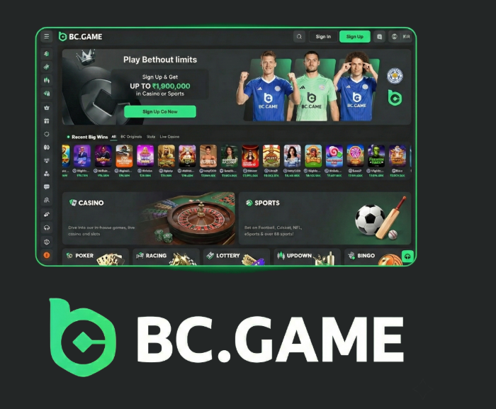 Latest BC.Game Mirrors Accessing Your Favorite Crypto Casino